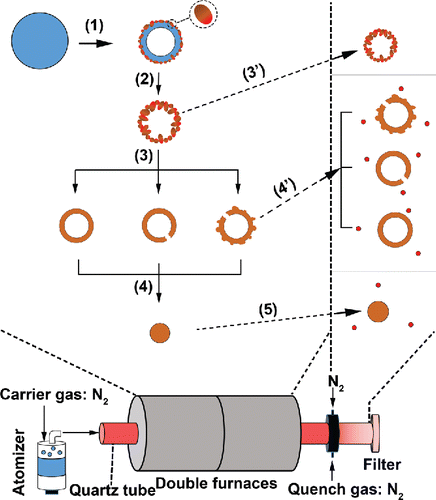 Figure 8. Schematic illustration of the proposed Cu-Sn binary particle formation process. The circle in Step (Equation1[1] ) represents the precursor droplet. The magnified image of the Step (Equation1[1] ) product illustrate the Cu-Sn solid solution and the metallic copper, respectively. The small circles are the metal particles formed by gas-to-particle conversion.