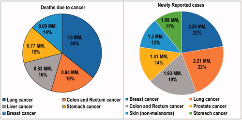 Figure 1. Statistics on the deaths due to cancer and newly reported cancer cases in the year 2020. MM: millions of people.