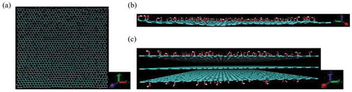 Figure 8. Models of (a) graphene with OH group (x-y plane), (b) graphene with OH group (y-z plane), and (c) carbon fiber with OH group