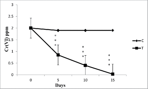 Figure 5. The effect of water hyacinth treatment on chromium removal (in 5 L SCM water). In this figure, C stands for control and T stands for treatments. Data represents mean ± SE of n = 5 ***p < 0.001 (Student's t-test).