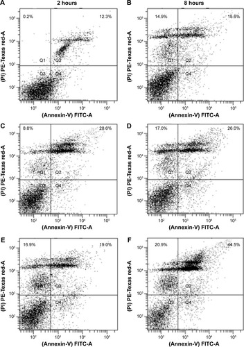 Figure 3 Apoptotic assay in MCF-7 cells treated with PTX solution, PTX-loaded SLNs, or PTX-loaded SLNs modified with HPCD corresponding 10 µM of PTX for 2 hours or 8 hours of incubation.Notes: (A) PTX solution for 2 hours, (B) PTX solution for 8 hours, (C) PTX-loaded SLNs for 2 hours; (D) PTX-loaded SLNs for 8 hours, (E) PTX-loaded SLNs modified with HPCD for 2 hours, (F) PTX-loaded SLNs modified with HPCD for 8 hours.Abbreviations: PTX, Paclitaxel; SLNs, solid lipid nanoparticles; HPCD, 2-hydroxypropyl-β-cyclodextrin.