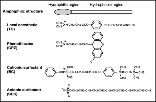 Figure 2 The structures of compounds eliciting intracellular shutdowns. The structures of a local anesthetic, a phenothiazine, a cationic surfactant, and an anionic surfactant are shown. TC, CPZ, BC and SDS indicate tetracaine, chlorpromazine, benzethonium chloride, sodium dodecyl sulfate, respectively.
