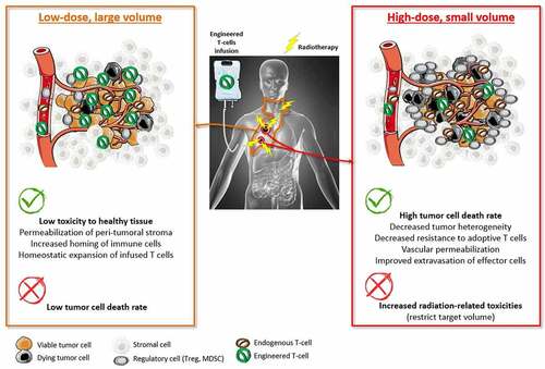 Figure 5. Complementary features between low-dose and high-dose RT in the setting of combinatorial approaches using engineered T-cell therapies.