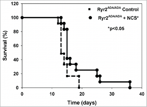 FIGURE 5. Survival data from Ryr2ADA/ADA mice treated with STAT3 inhibitor NSC74859. Mean lifetimes ± SEM of Ryr2ADA/ADA mice treated without (Control) and with NSC74859 (NSC) of13.9 ± 0.5 (n = 13) and 18.4 ± 1.8 (n = 13), respectively, were significantly different (p < 0.05).