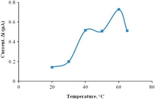 Figure 4. The effect of temperature on the response of the biosensor (at pH 9.0, 5.0 × 10−5 M choline at 0.3 V operating potential).