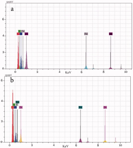 Figure 5. EDAX analysis of (a) Fe3O4@PAA@ZIF-8 and (b) Fe3O4@PAA@ZIF-8@CIP.