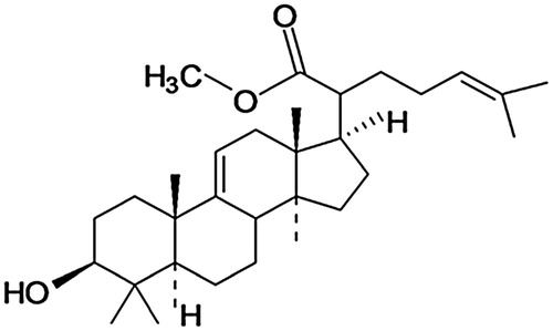 Figure 1. Methyl-3β-hydroxylanosta-9,24-dien-21-oate (RA-3).