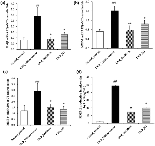 Figure 3. Effects of the skin cream containing the ziyuglycoside I isolated from Sanguisorba officinalis on the expression of cytokine and proteins in ultraviolet-B (UVB)-induced hairless mice.(a) mRNA expression of the inflammatory cytokine interleukin (IL)-1β; (b) mRNA expression of matrix metalloproteinase (MMP)-2; (c) mRNA expression of matrix metalloproteinase (MMP)-9; (d) MMP-2 protein expression. Values are expressed as means ± SD from two-independent experiments (n = 5). ##Signiﬁcantly different from normal_control (p < 0.01). ###Signiﬁcantly different from normal_control (p < 0.001). *Signiﬁcantly different from UVB/Vehicle treatment (p < 0.05). **Signiﬁcantly different from UVB_Vehicle control (p < 0.01).
