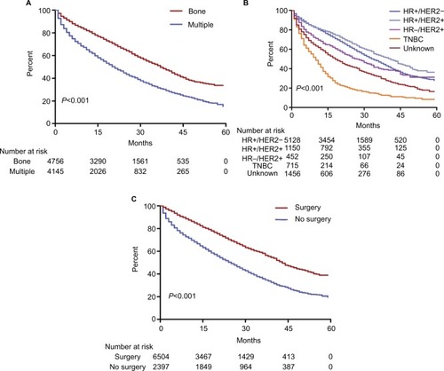 Figure 2 Survival analysis among patients with initial bone metastasis.Notes: (A) Patients were stratified as bone metastasis only and multiple metastasis (bone vs multiple: median survival=37 vs 21 months, P<0.001). (B) Patients were stratified as HR+/HER2− (median survival=33 months), HR+/HER2+ (median survival=41 months), HR−/HER2+ (median survival=27 months), TNBC (median survival=10 months), and unknown (median survival=18 months) (P<0.001). (C) Patients were stratified according to whether they underwent local surgery or not (surgery vs no surgery: median survival=43 vs 25 months, P<0.001).Abbreviations: HER2, human epidermal growth factor receptor 2; HR, hormone receptor; TNBC, triple-negative breast cancer.