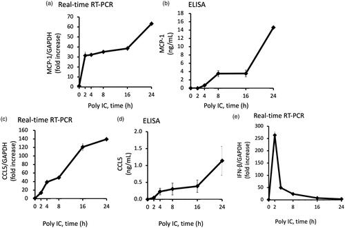 Figure 2. Poly IC induces the expression of MCP-1 and CCL5 in cultured human GECs in a time-dependent manner. The cells were treated with 30 μg/mL poly IC for up to 24 h. The conditioned medium was collected, and RNA was extracted from the cells. Real-time RT-PCR (a,c,e) and ELISA (b,d) analyses were performed. Data are shown as the means ± SD (n = 3, *p < 0.01, by t-test).
