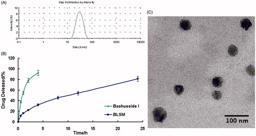 Figure 1. Characteristics of the BLSM. Size distribution of BLSM as determined by dynamic light scattering (A). Transmission electron microscope (TEM) image of BLSM in 100 nm scale (B). Baohuoside I release profiles from the micelles in vitro in a PBS (PH7.4) (C). Data are presented as the mean ± SD (n = 3). (BLSM, baohuoside I-loaded mixed micelles composed of lecithin and Solutol HS 15).