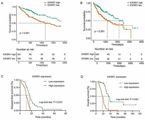 Figure 2. Comparison of the 5- and 10-year overall survival between EWSR1 high and low groups in The Cancer Genome Atlas (TCGA) dataset (a, b) and our cohort (c, d)