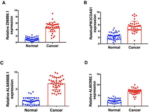 Figure 11 LncRNA levels were validated by reverse transcription quantitative polymerase chain reaction. (A) Z98886.1; (B) PIK3CD-AS1; (C) AL645608.1; (D) AL603962.1. LINC, long non-protein coding RNA between genes; lncRNA, long non-coding RNA.