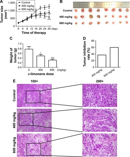 Figure 2 d-limonene inhibits tumor growth in a xenograft animal model.