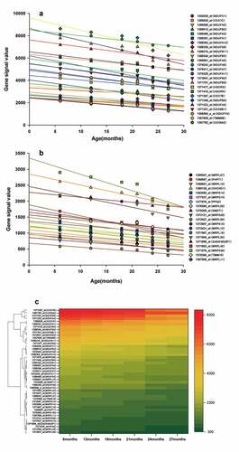 Figure 4. (a, b) Genes corresponding to the cluster proteins A and B in GSE118825 dataset decreased with age. (c) Heat map of the cluster genes in GSE118825 dataset