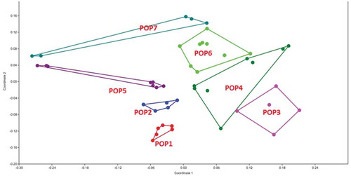 Figure 5. MDS plot of morphological characters in G. pyrenaicum populations studied. Different colors indicate the plant specimens (numbers 1–8) studied from each geographical population.