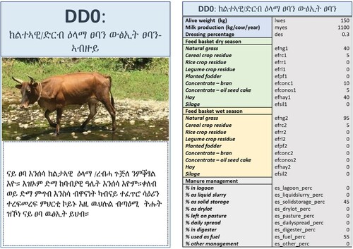 Figure A2. Example of a vignette card for the baseline dual purpose dairy category used in Ethiopia. The left panel has a short description (as in Tables 4–6) in the local language (Tigrigna in Atsbi). The right panel shows the parameters represented by this vignette.