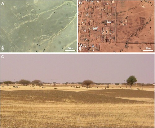 Figure 7. Google Earth™ satellite imageries of the Post-Meroitic cemetery at site 10-W-8 occupied and partially destroyed by the urban expansion of the el-Salha quarter (each dark spot is an earthen tumulus): (A) in 2006, (B) in 2019, (C) some Post-Meroitic earthen tumuli.