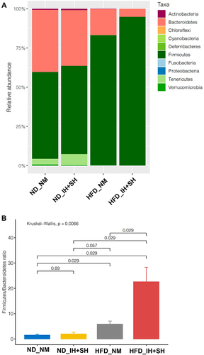 Figure 4 Phylum-level taxonomic analysis of the four experimental groups. (A) Bar graph depicting the effects of diet and combined intermittent and sustained hypoxia on the relative abundance of phyla in the colonic mucosa. (B) The effects of diet and combined intermittent and sustained hypoxia on Firmicutes:Bacteroidetes ratio in the colonic mucosa. Kruskal–Wallis rank sum test followed by Dunn’s multiple comparison test were used for statistical comparisons (P value indicated).