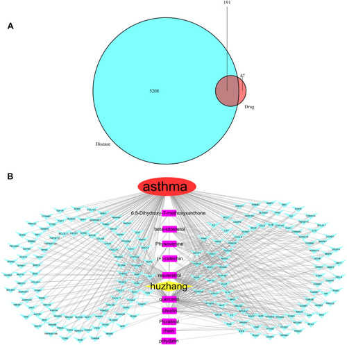 Figure 2 Disease and active ingredient intersection targets. (A) Intersection target Venn diagram. (B) “Drug-target-disease” network.