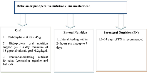 Figure 4 Preoperative nutrition support recommendations.