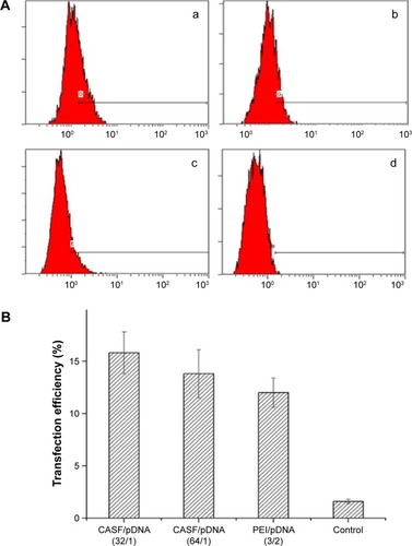 Figure 7 (A) Flow cytometric analysis in EA.hy926 cells after being transfected with CASF/pDNA complexes at weight ratios of (a) 32/1 and (b) 48/1, as well as (c) PEI/pDNA complexes at weight ratio of 3/2. (d) Control group (untreated cells). (B) Transfection efficiency of the two complexes at various weight ratios.Note: The values given are mean ± SD (n=3).Abbreviations: CASF, cationized Antheraea pernyi silk fibroin; pDNA, plasmid DNA; PEI, polyethyleneimine; SD, standard deviation.