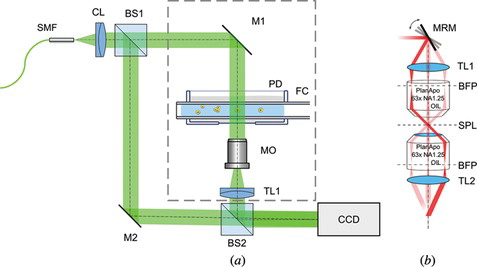 Figure 2 Measurement setup for full angle (a) and limited angle tomography module (b). Figure 2(a): SMF—single mode fiber, light source—frequency doubled Nd:YAG laser λ = 532 nm; CL—collimating lens (f’ = 50 mm); BS1, BS2—50:50 Beam splitting cube; M1, M2—mirror; PD—Petri Dish; FC—Fiber capillary; MO—Long working distance 20x microscope objective; TL—Tube lens (f’ = 150 mm); CCD—Charge-Coupled Device camera. Figure 2(b): MRM—Motorized rotary mirror; TL1—tube lens (f’ = 75 mm); BFP—back focal plane; SPL—specimen plane; TL2—tube lens (f’ = 150 mm).