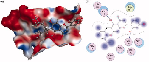 Figure 15. The interactions between 56 and Cat K from molecular modelling. (A) The pocket is shown in electrostatics representation. (B) The detailed interactions between 56 and Cat K. The molecular docking is calculated by AutoDock Vina. Blue line: Backbone hydrogen bond.