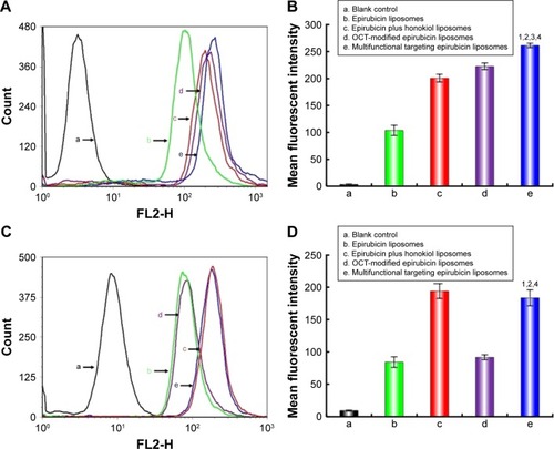 Figure 4 Intracellular uptake and targeting effects after incubation with varying formulations.Notes: (A) Cellular uptake of LLT cells, (B) fluorescence intensity of epirubicin in LLT cells, (C) cellular uptake of LLT cells after incubation with excess OCT, (D) fluorescence intensity of epirubicin in LLT cells after incubation with excess OCT, (E) fluorescence microscopy images of LLT cells incubated with varying formulations. Magnification ×250. a. Blank control; b. epirubicin liposomes; c. epirubicin plus honokiol liposomes; d. OCT-modified epirubicin liposomes; e. multifunctional targeting epirubicin liposomes. p<0.05; 1, vs a; 2, vs b; 3, vs c; 4, vs d.Abbreviations: LLT, Lewis lung tumor; OCT, octreotide.