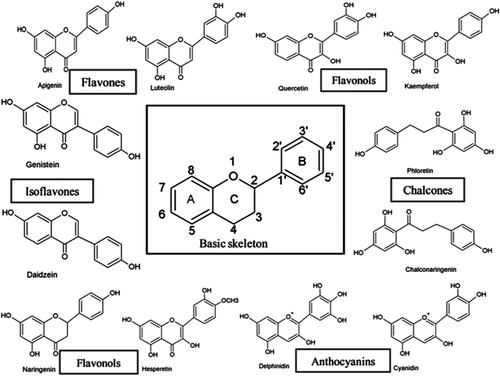 Figure 2. Basic chemical structures of several different flavonoid classes (Panche et al., Citation2016).