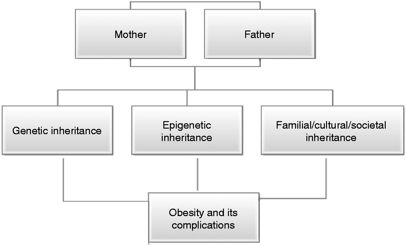 Figure 1. Multifactorial inheritance factors that may contribute to obesity and its complications.