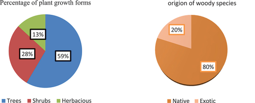 Figure 4. Percentage of plant growth forms (left) and origin of woody species (right) identified and recorded in the study area). Source: woody species inventory and measurement result (2021).
