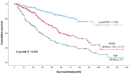 Figure 2. Kaplan Meier curves for overall survival of patients grouped according to NPAR.Abbreviation: NPAR: neutrophil percentage-to-albumin ratio.