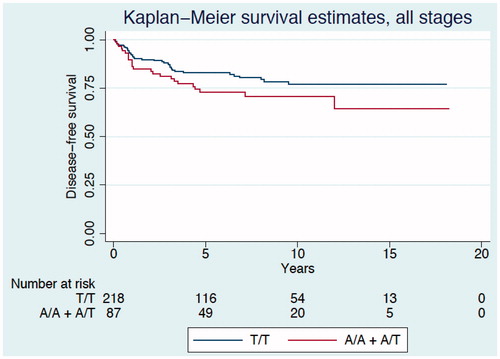Figure 3. Kaplan–Meier curve describing disease-free survival estimates among CRC patients of all TNM stages according to genotypes of the PLA2G4C gene polymorphism.