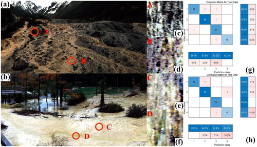 Figure 11. (a) And (b) display sample hyperspectral images; (c), (d), (e), and (f) represent the regions of interest (ROI) depicting RGB images of black travertine, bare soil, healthy travertine, and algal erosion of travertine, respectively; (g) and (h) represent the confusion matrices illustrating the classification results of the training set and the test set, respectively.
