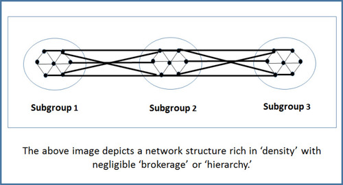 Figure 1 Effective Knowledge Sharing Network Structure in Complex Systems.