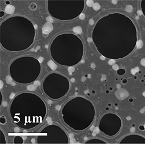 Figure 3. SEM image of nanoplates grown on a TEM grid.