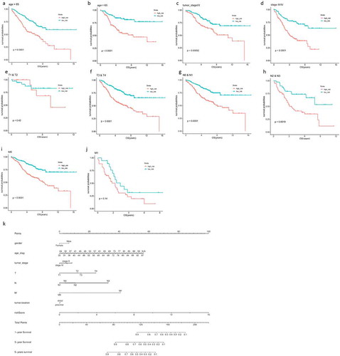 Figure 5. The prognostic performance of the 9-gene model in patients with different clinical subtypes in the training dataset and testing dataset