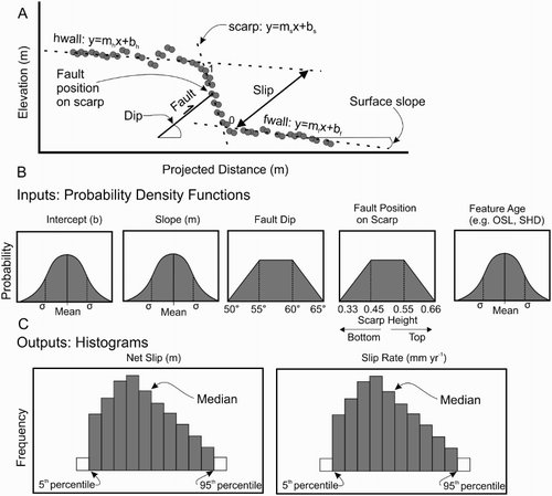 Figure 2. Schematic of the Monte Carlo simulation procedure for calculating net slip and slip rate from field measurements (modified after Thompson et al. Citation2002; Rood et al. Citation2011). A, Surveyed fault profile and parameters required to calculate net slip. B, Probability distributions of inputs (e.g. slope and intercepts of lines fit to surfaces, fault dip, feature age). OSL: Optically stimulated luminescence. C, Histograms of outputs (net slip and slip rates).