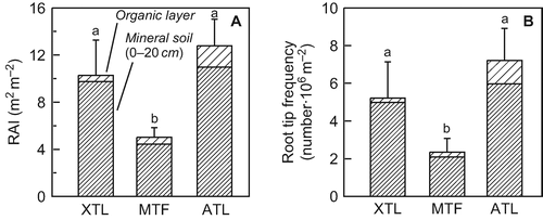 Figure 5 Root area index (RAI) and root tip frequency in the organic layer and the upper mineral soil of the three Nothofagus pumilio stands. Values are means ± SE; n = 10. Different letters indicate statistically significant differences between the forests in terms of profile totals (P < 0.05). XTL: xeric treeline, MTL: mid-altitude tall forest, ATL: alpine treeline.