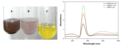 Figure S1 Optical photograph depicting change in color of reaction mixture as a result of change in surface plasmon resonance upon incubation of HAuCl4 solution (10−3 M) with increasing amounts of dithiothreitol. Incubation of HAuCl4 with glutathione resulted in synthesis of gold nanoparticles assessed by measuring change in surface plasmon resonance.