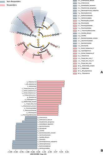 Figure 4 Taxonomic difference of lung microbiota in non-responders and responders. (A) Cladogram using the LEfSe method indicating the phylogenetic distribution of lung microbiota of non-responders and responders, only the units with difference s were presented. (B) LDA effect size analysis revealed significant microbial differences in the two groups. LDA score (log10 >2) and p< 0.05 are presented.