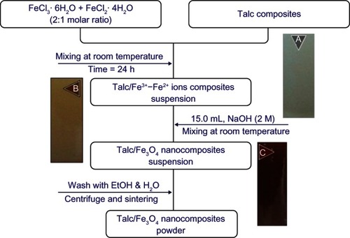 Figure 1 Flowchart of the synthesized talc/Fe3O4 nanocomposite powder in (A) talc and (B and C) talc/Fe3+–Fe2+ ion composites.Abbreviations: EtOH, ethanol; Fe2+, ferrous ion; Fe3+, ferric ion; FeCl2 · 4H2O, ferrous chloride tetrahydrate; FeCl · 6H2O, ferric chloride hexahydrate; Fe3O4, magnetite; H2O, water; NaOH, sodium hydroxide.