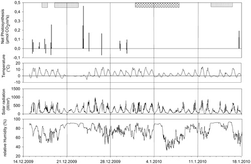 FIGURE 2. Net CO2-exchange (positive values), dark respiration (negative values, upper panel) and corresponding microclimatic conditions (temperature, solar radiation and relative Humidity, second, third, and lower panels, respectively) from Antarctic BSCs (Site Garwood). Measured from 14.12.2009 until 18.01.2010 with 8 days without gas-exchange measurements between 02.01.2010 and 08.01.2010 (measuring break is indicated with a dark bar). CO2 exchange (net and dark respiration) is expressed on a surface area basis. Gray bar highlight snow events. Vertical lines delineate the weeks.