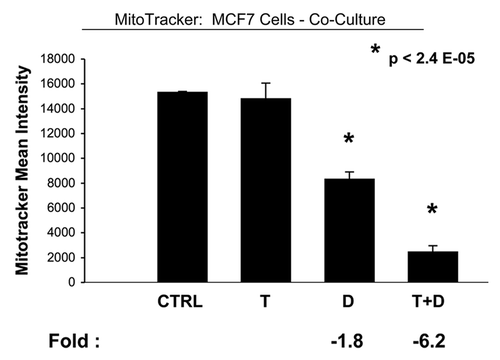 Figure 8 Tamoxifen plus Dasatinib reduces mitochondrial activity in MCF7 cells co-cultured with fibroblasts. MCF7 breast cancer cells were co-cultured with fibroblasts, and then subjected to drug treatment with Tamoxifen (T; 12 µM) or Dasatinib (D; 2.5 nM), individually or in combination. Mitochondrial activity in MCF7 cells was quantitated by FACS analysis, using MitoTracker as a probe. Tamoxifen plus Dasatinib (T + D) has a clear synergistic effect, significantly decreasing mitochondrial activity >six-fold in MCF7 cells in co-culture. CTRL (control), represents co-cultured MCF7 cells, treated with vehicle alone.