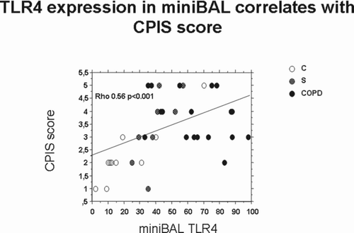 Figure 5.  Correlations between the expression of TLR4 in mini-BAL and CPIS score. The expression of TLR4 in mini-BAL of C (n = 10), S (n = 8) and COPD (n = 18) was correlated with CPIS score by Spearman Correlation test.