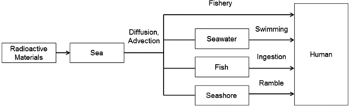 Figure 2. Pathway of liquid radioactive effluents.