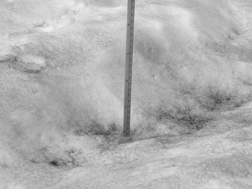 Figure 12 Early summer snow algae present at the fieldsite in Lassen Volcanic National Park (credit: Brian Duval, 2005).