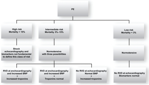 Figure 2 ESC criteria for identifing the risk of adverse prognosis in acute PE