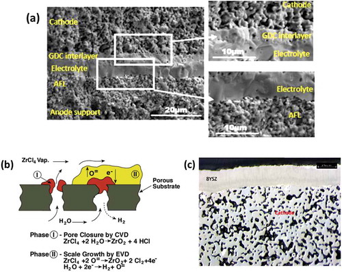 Figure 5. (a) SEM microstructure showing different component layers of the anode-supported FT- SOFC (Reproduced with permission from [Citation23]) (b) schematic diagram of the EVD process (c) SEM cross-sectional microstructure of EVD deposited 8YSZ electrolyte on a porous cathode substrate (Reproduced with permission from [Citation17])